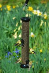 Droll Yankees Onyx Clever Clean 18" Nyjer Feeder